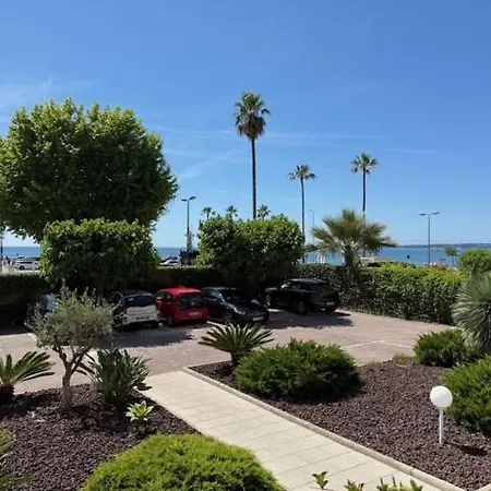 In Near Cannes And Antibes *
