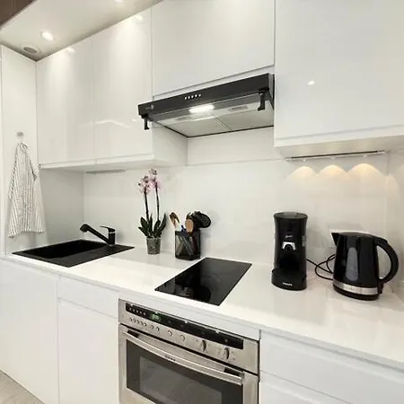 In Near Cannes And Antibes Apartment