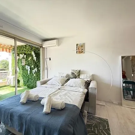 In Near Cannes And Antibes Apartment *