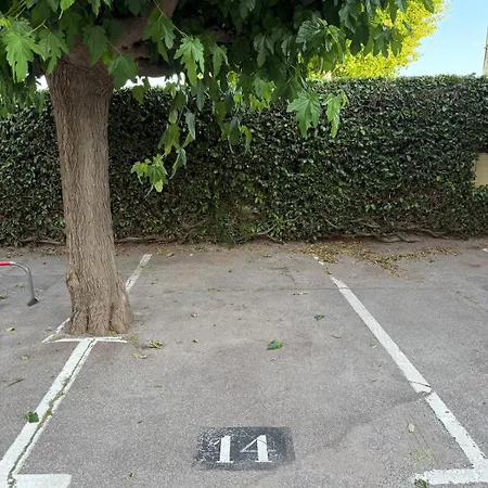 In Near Cannes And Antibes * Golfe-Juan