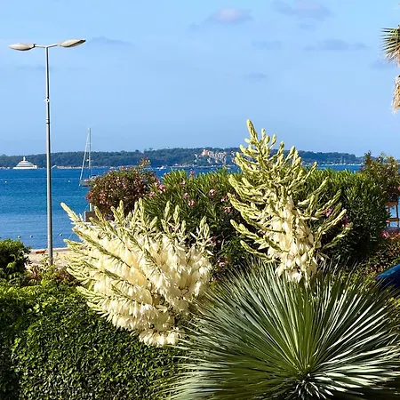 アパート In Near Cannes And Antibes