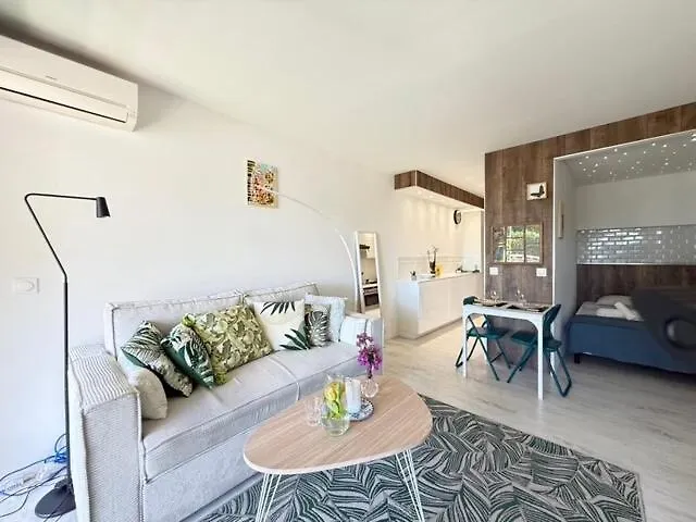 In Near Cannes And Antibes Appartement *