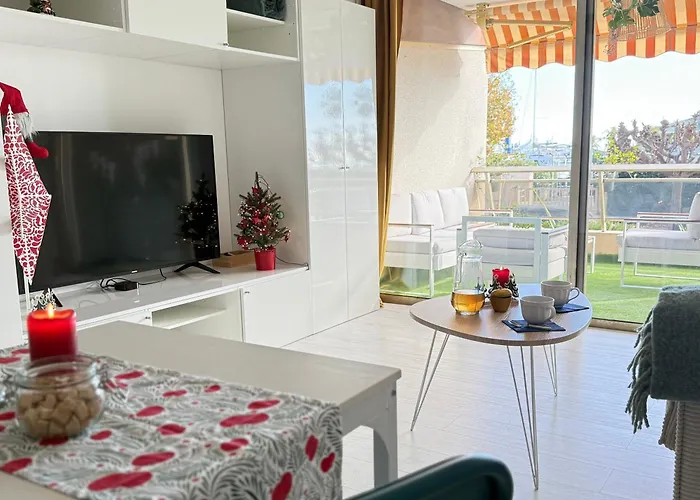 In Near Cannes And Antibes Appartement