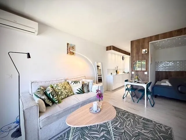 Appartement In Near Cannes And Antibes